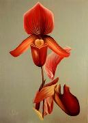 Still life floral, all kinds of reality flowers oil painting 39 unknow artist
